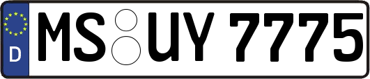 MS-UY7775