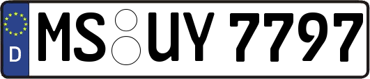 MS-UY7797