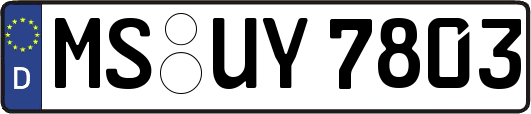 MS-UY7803