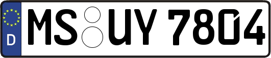 MS-UY7804