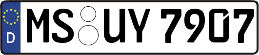 MS-UY7907