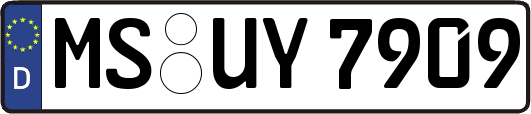 MS-UY7909