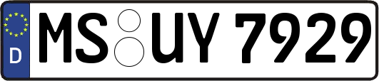 MS-UY7929