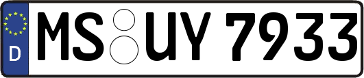 MS-UY7933