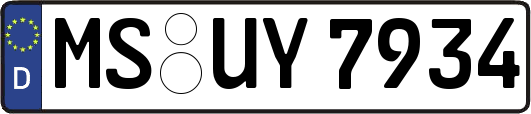 MS-UY7934