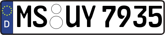 MS-UY7935