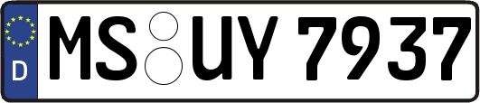 MS-UY7937
