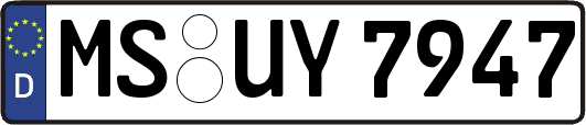 MS-UY7947