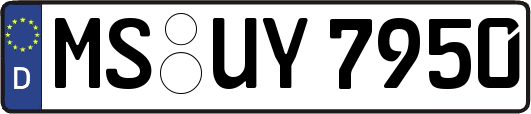 MS-UY7950