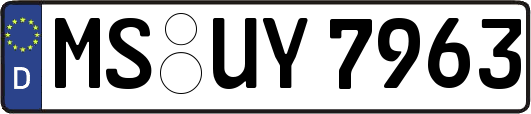 MS-UY7963