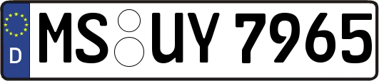 MS-UY7965