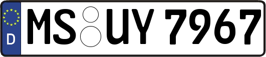 MS-UY7967