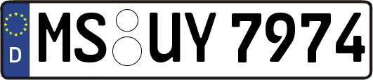 MS-UY7974