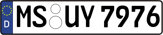 MS-UY7976