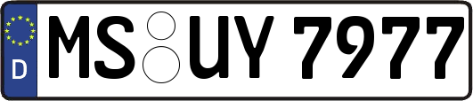 MS-UY7977
