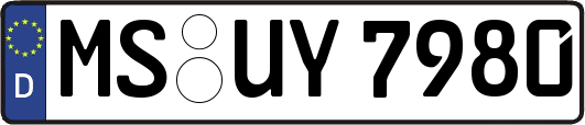 MS-UY7980