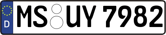 MS-UY7982