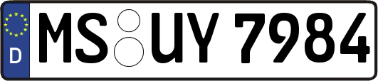 MS-UY7984