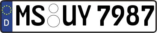 MS-UY7987