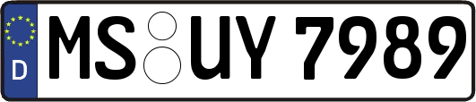 MS-UY7989
