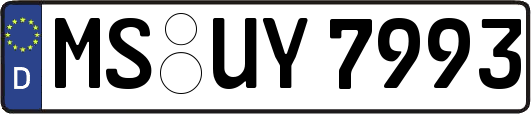 MS-UY7993