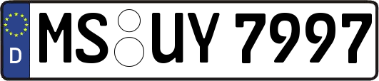 MS-UY7997