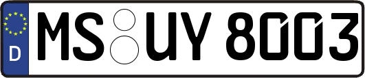 MS-UY8003