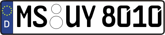 MS-UY8010