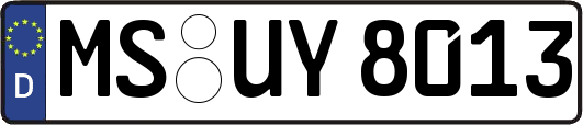 MS-UY8013