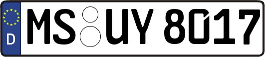 MS-UY8017