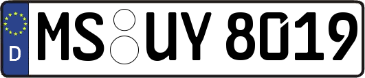MS-UY8019