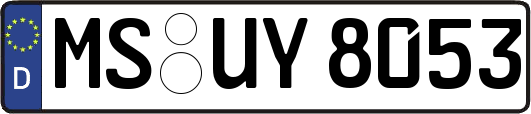 MS-UY8053