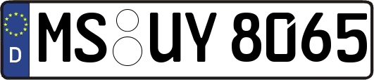 MS-UY8065