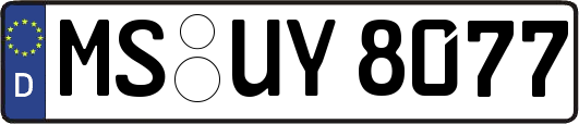 MS-UY8077