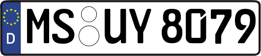 MS-UY8079