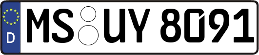 MS-UY8091