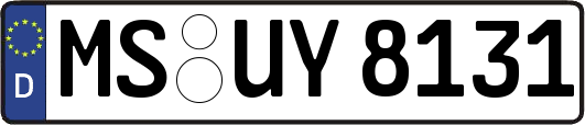 MS-UY8131
