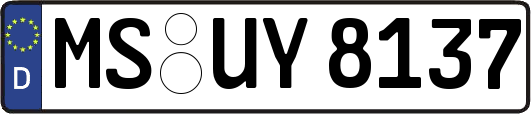 MS-UY8137