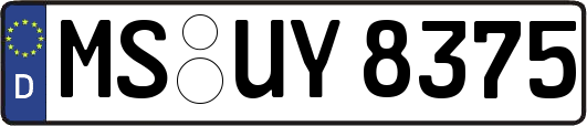 MS-UY8375