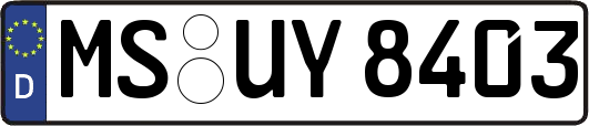 MS-UY8403