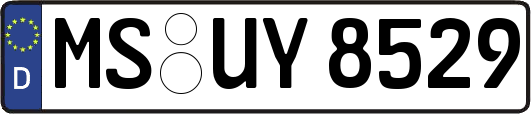 MS-UY8529