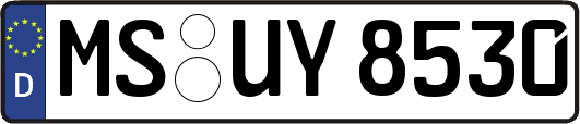 MS-UY8530