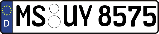 MS-UY8575