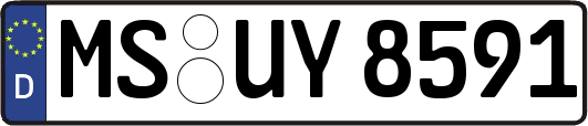 MS-UY8591