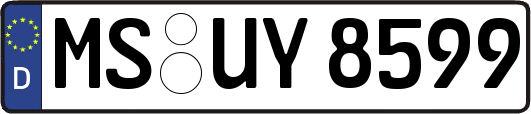 MS-UY8599