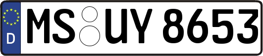 MS-UY8653
