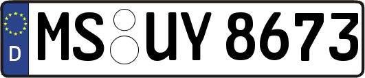 MS-UY8673