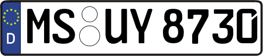 MS-UY8730