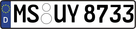 MS-UY8733