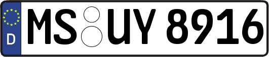 MS-UY8916